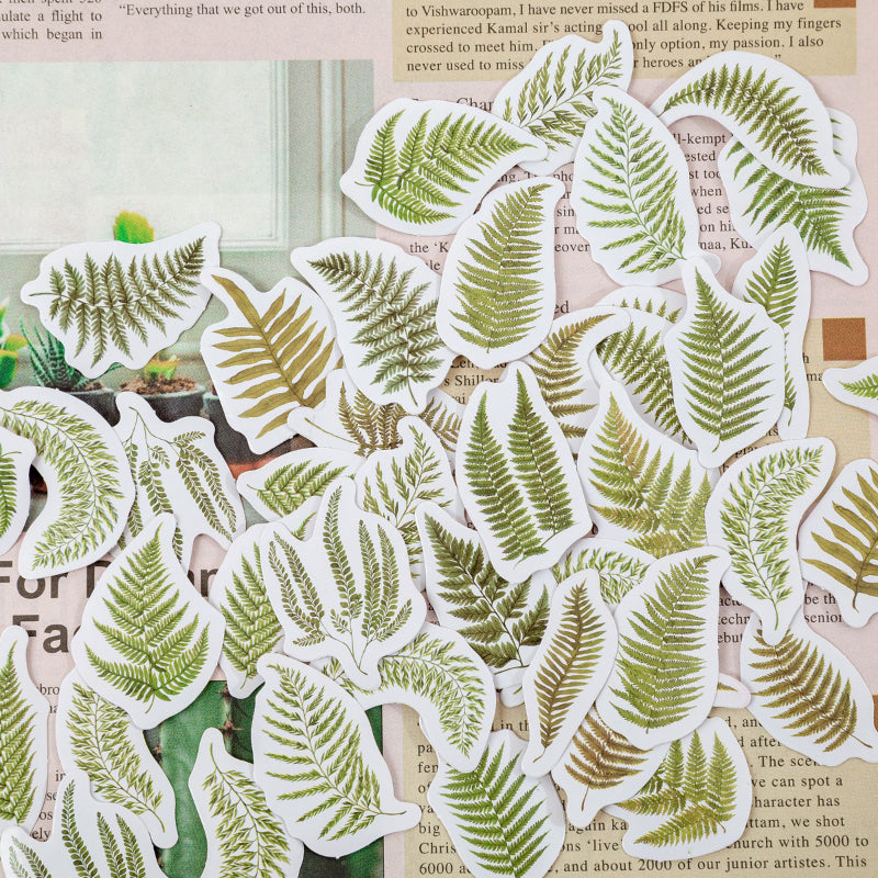 Fern leaf Chronicles Sticker