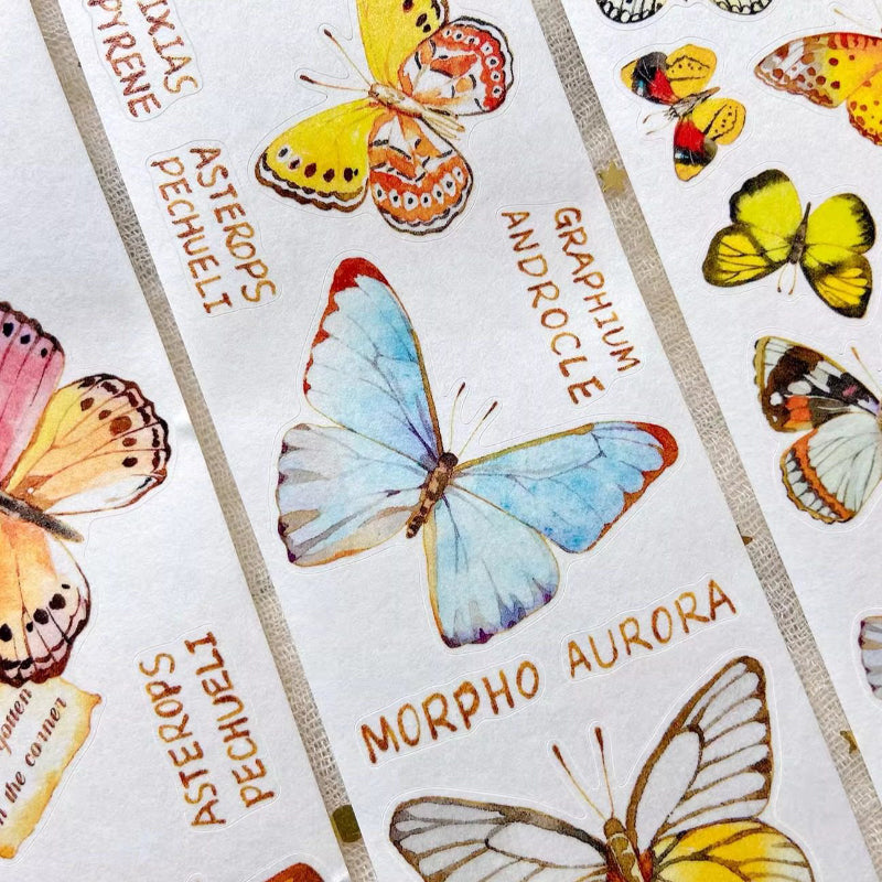 Whole Roll 5cm*5m Butterfly Identification Guide Die Cutting Washi Tape featuring butterfly, and cat designs for journaling, scrapbooking and collage