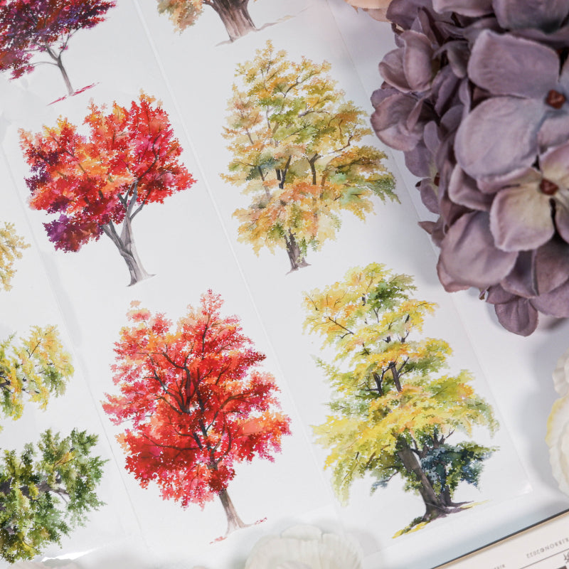 6.5cm*100cm Know Autumn PET Tape