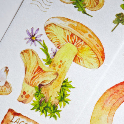 4.5cm*100cm Mushroom Identification Guide Die Cutting Washi/PET Tape featuring cat, and mushroom designs for journaling, scrapbooking and collage