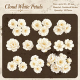 Cloud White Petals