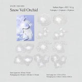 Snow Orchid