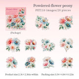 Powdered-flower peony
