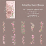 Spring pink cherry blossoms