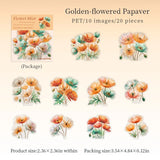 Golden-flowered Papaver