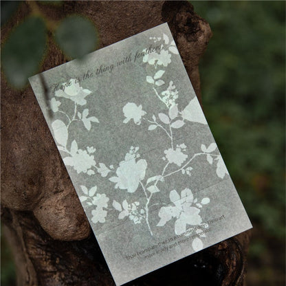 All Things Silentasa Mystery Material Paper