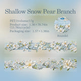 Shallow Snow Pear Branch