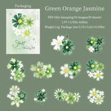 Green Orange Jasmine