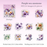 Purple sea anemone