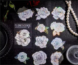 Dark Rose