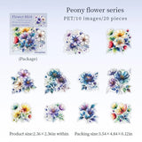 Peony flower series