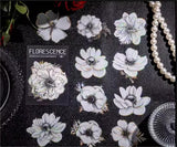 Anemone Flower