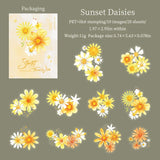 Sunset Daisies