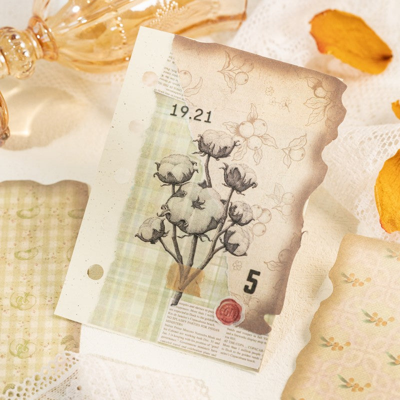 Fruit Color Material Paper