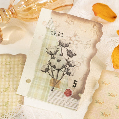 Fruit Color Material Paper