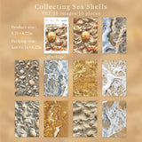 Collecting Sea Shells