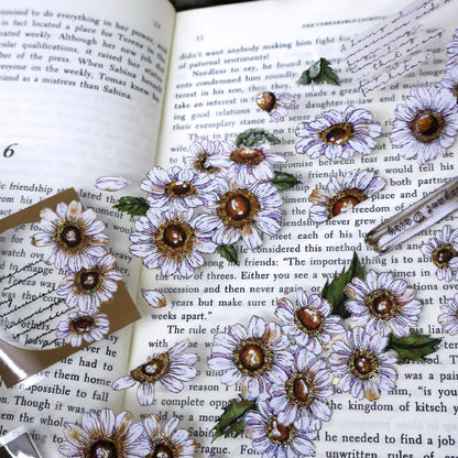 Whole Roll 5.5cm*5m Simple daisy Die Cutting Washi/PET/Shell Silver PET Tape featuring silver designs for journaling, scrapbooking and collage