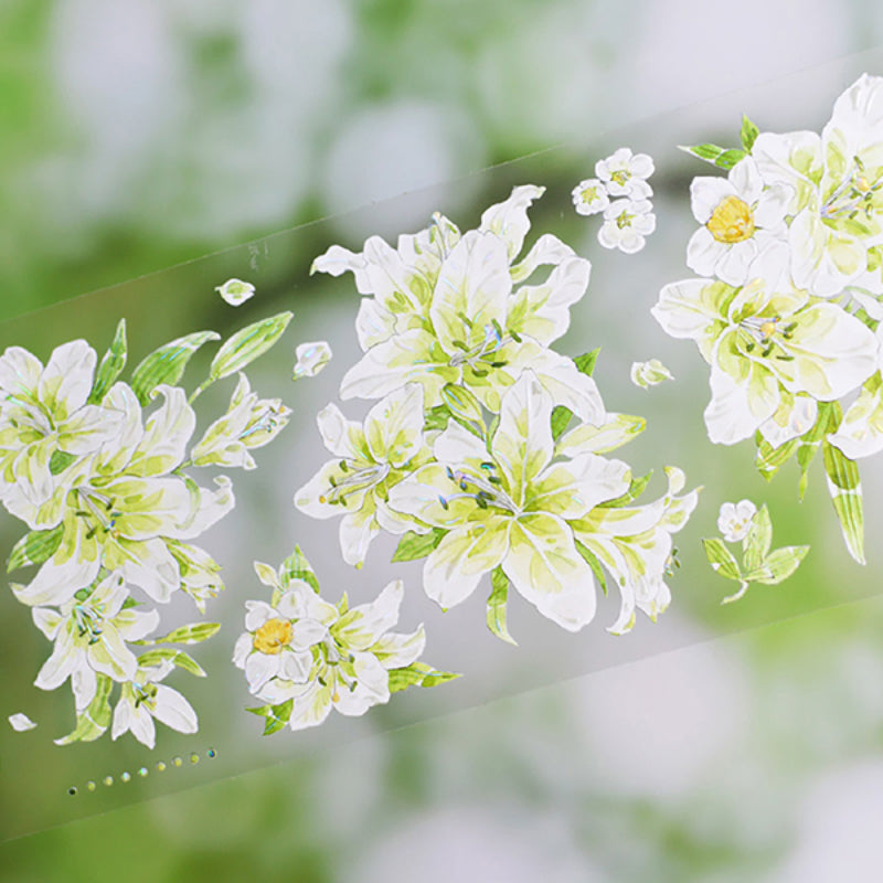 Whole Roll 6cm*5m Peppermint Lily Shell Light PET Tape