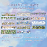 Brarch and Vine lmaging