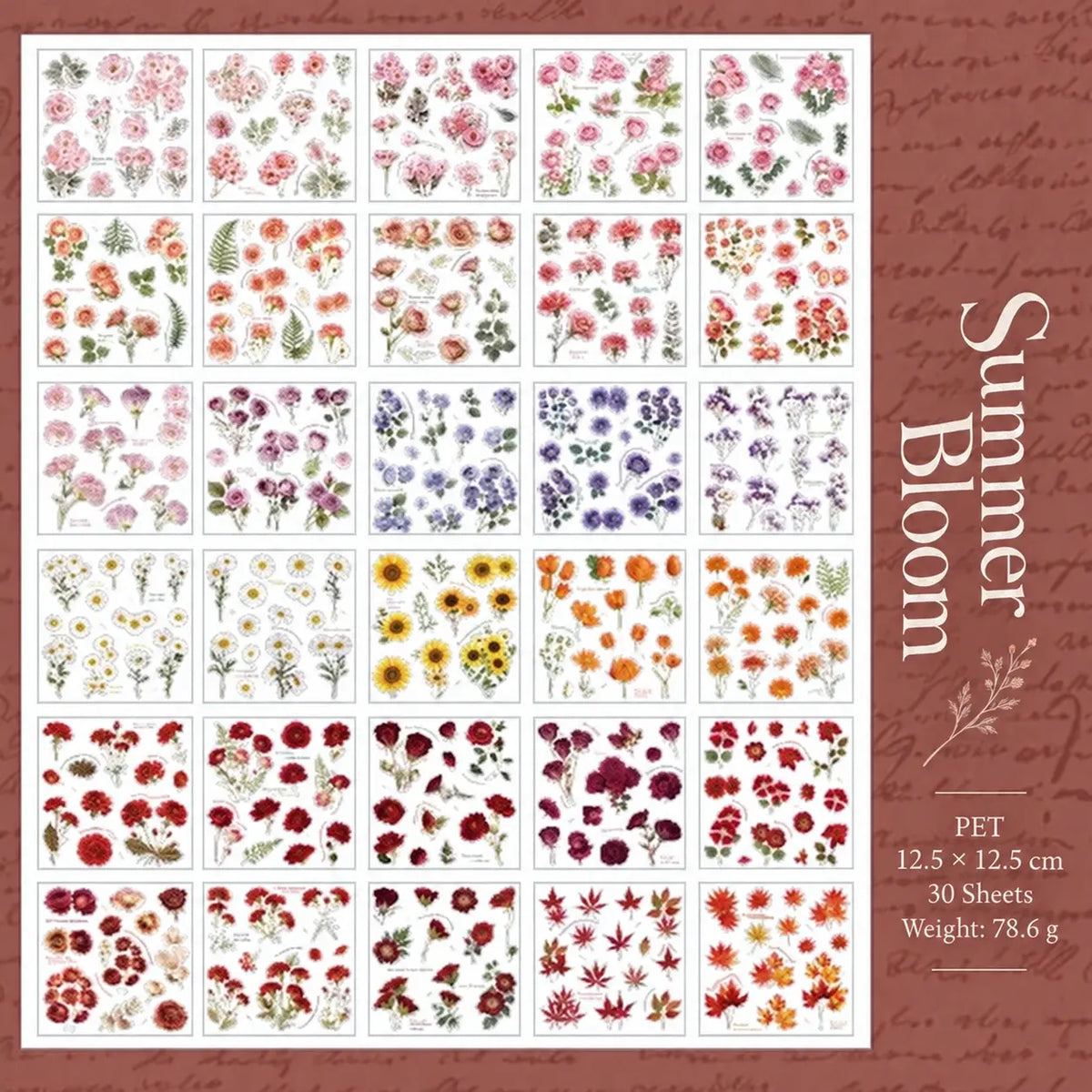 Specimen Flower PET Sticker Book