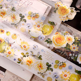 ALL (Including 4 Sets)