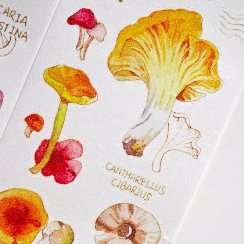 4.5cm*100cm Mushroom Identification Guide Die Cutting Washi/PET Tape featuring cat, and mushroom designs for journaling, scrapbooking and collage