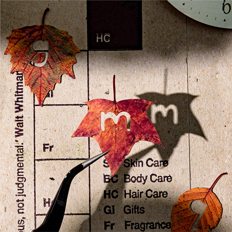 Forest Alphabet Guide Series Sticker featuring forest designs for journaling, scrapbooking and collage