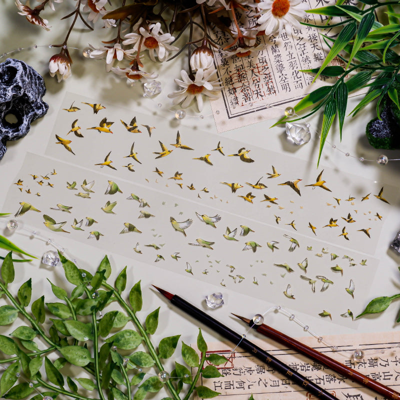 Whole Roll 5cm*5m Return birds PET Tape featuring bird designs for journaling, scrapbooking and collage