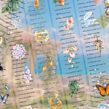ALL (Including 6 Sets)
