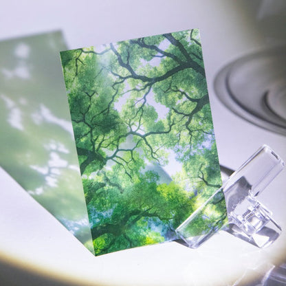 Summer Vibe Material Paper