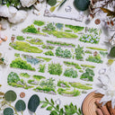 Whole Roll 5cm*5m Summer Greenery PET Tape