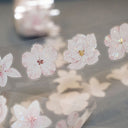 3.2cm*200cm Sunny Day Die Cutting Shell Light PET Tape