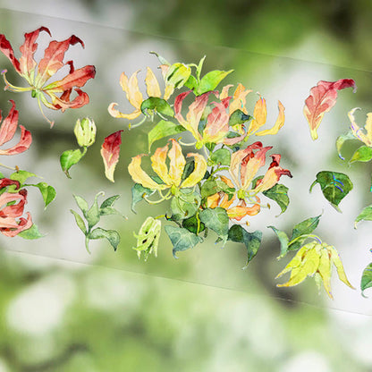 Whole Roll 6cm*5m Garland Lily Shell Light PET Tape featuring light designs for journaling, scrapbooking and collage