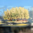 6.5cm*100cm Poetry and the Horizon Die Cutting Shell Light PET Tape