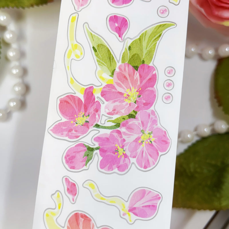 Whole Roll 5cm*5m Pine Ccented flower Washi/Self-adhesive/Shell Light PET Tape featuring flower, and light designs for journaling, scrapbooking and collage