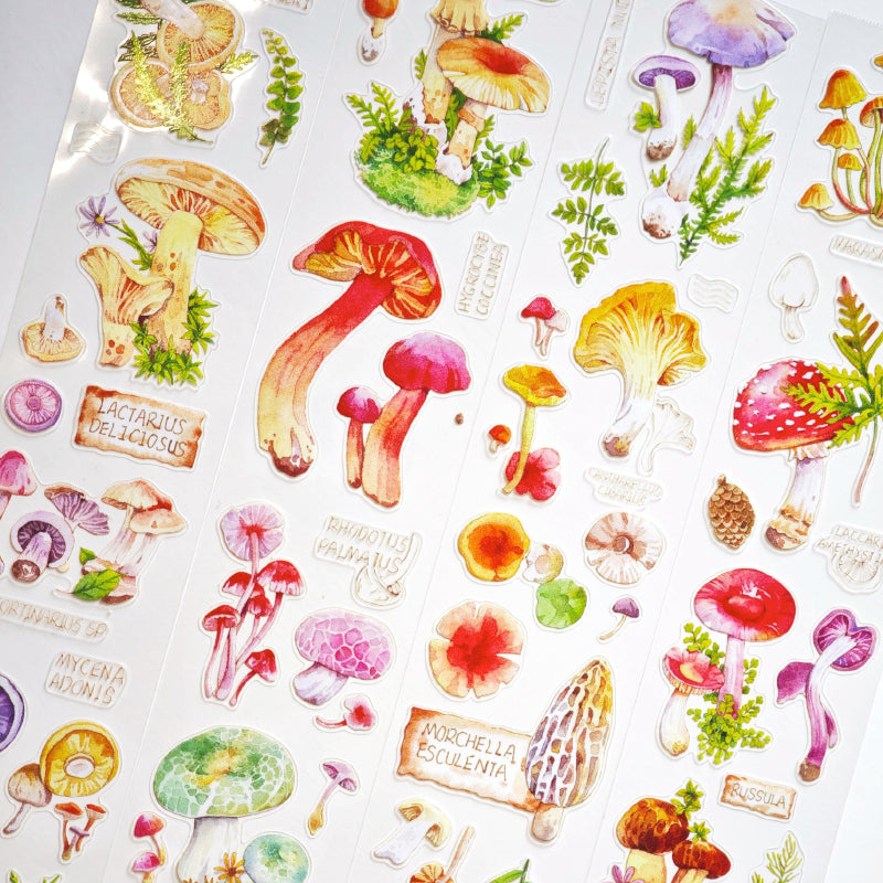 4.5cm*100cm Mushroom Identification Guide Die Cutting Washi/PET Tape featuring cat, and mushroom designs for journaling, scrapbooking and collage