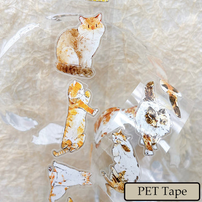 3cm*200cm Cute Cat Die Cutting Washi/PET/Fog PET Tape