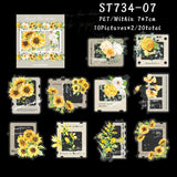ST734-07