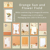 Soleil orange et champ de fleurs
