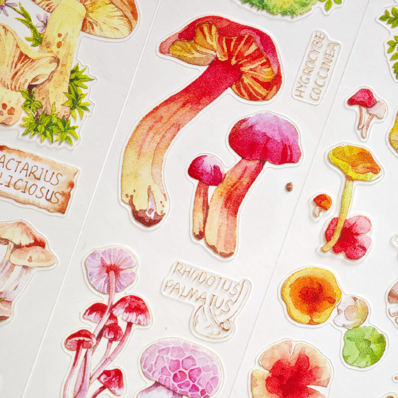 4.5cm*100cm Mushroom Identification Guide Die Cutting Washi/PET Tape featuring cat, and mushroom designs for journaling, scrapbooking and collage
