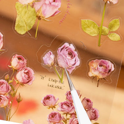 Specimen Flower PET Sticker Book