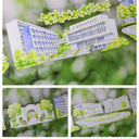 7.5cm*125cm Cool Color Summer PET Tape