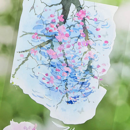 Whole Roll 6.5cm*4.4m Spring Water Shell Light PET Tape featuring spring, and light designs for journaling, scrapbooking and collage