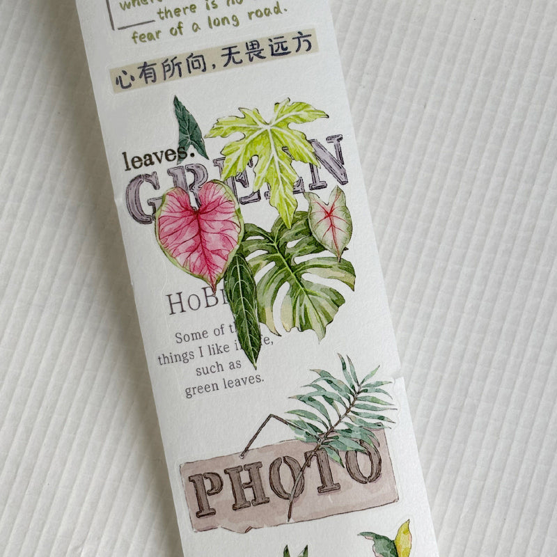 Whole Roll 5cm*6m Maintain Enthusiasm Die Cutting Washi/PET/Fog PET Tape