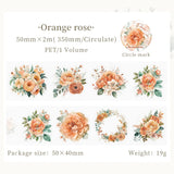 Orange Rose