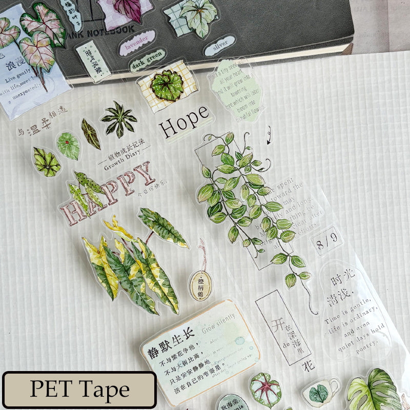 5cm*150cm Maintain Enthusiasm Die Cutting Washi/PET/Fog PET Tape