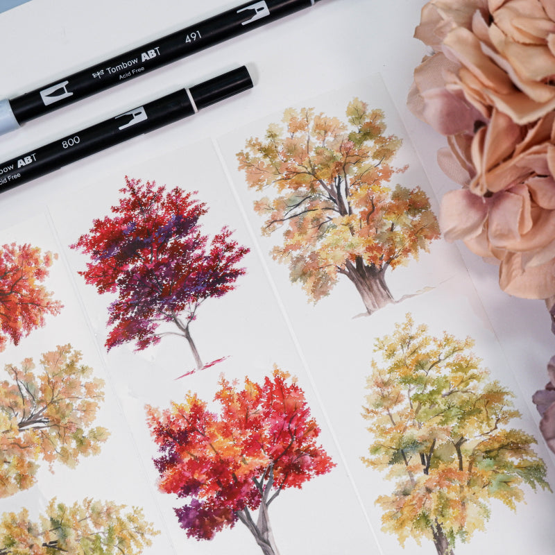 Whole Roll 6.5cm*5m Know Autumn PET Tape