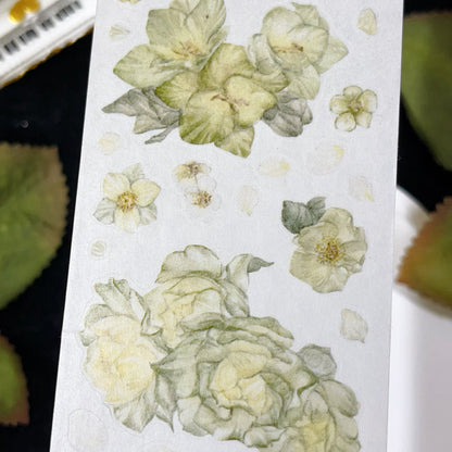 5.5cm*100cm Lush Greenery Washi/Self-adhesive/Shell Light PET Tape featuring green, and light designs for journaling, scrapbooking and collage