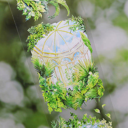 7.5cm*125cm Oasis Shell Light PET Tape
