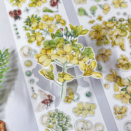 Whole Roll 5cm*5m Flower Insect Die Cutting Washi/Synthetic Paper/Shell Light PET Tape featuring flower, and light designs for journaling, scrapbooking and collage